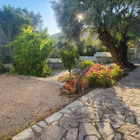 The Siesta House Vilă *