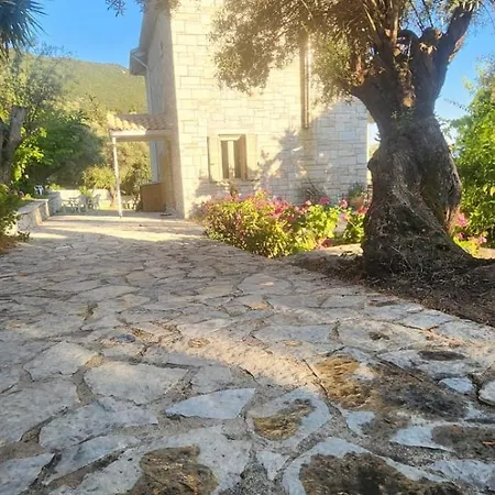 The Siesta House Vilă