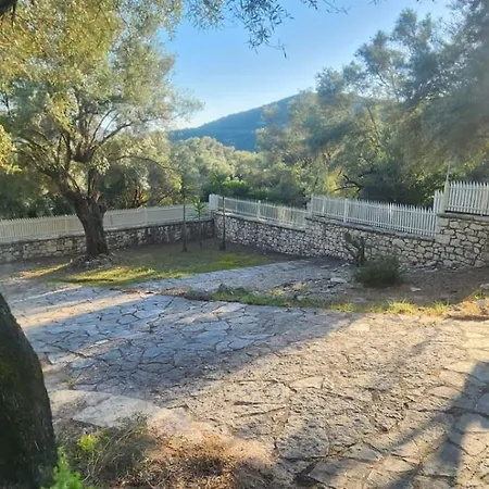 The Siesta House Vila